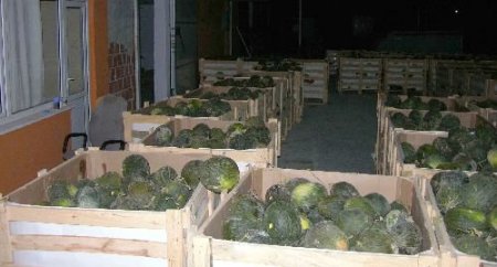 Kavun Arasında 120 Kilo Eroin Ele Geçirildi