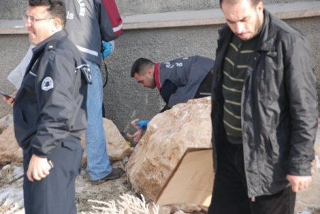 Kayalıkların Arasına Terk Edilen Bebek Ölü Bulundu