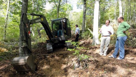 Kayın ve meşede doğal gençleştirme çalışmaları tamamlandı