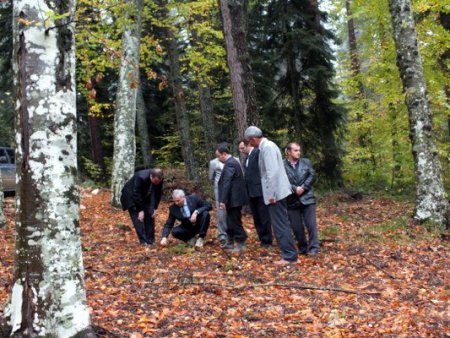 Kayın ve meşede doğal gençleştirme çalışmaları tamamlandı