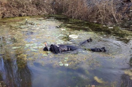 Kayıp Belediye Meclis Üyesini Arayan Ekipler, Kuyuda İnsan Kemiği Buldu