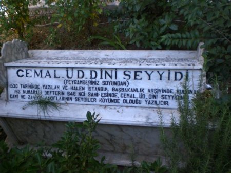 Kaymakam Bulgurlu: Cemalüddin Seyyidi'nin Manavgat'ta Medfun Olması Gurur Verici