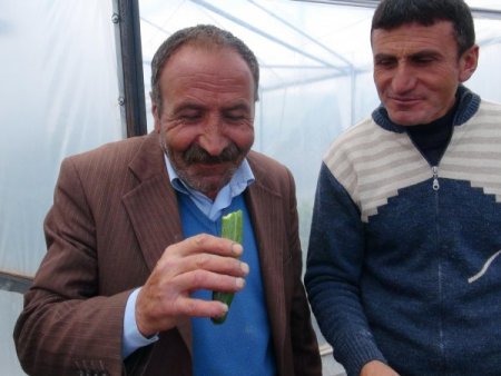 Kaymakam'ın Kurduğu Serada 20 Vatandaş Eğitim Aldı