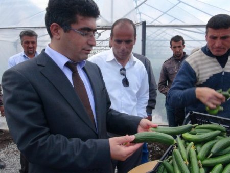 Kaymakam'ın Kurduğu Serada 20 Vatandaş Eğitim Aldı