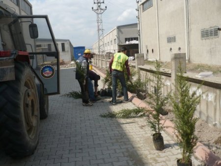 Kayseri Osb’de 15 Bin 500 Fidan Toprakla Buluştu