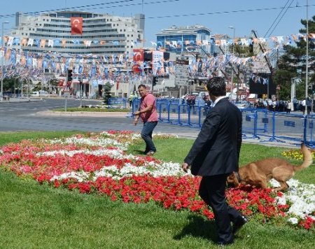 Kayseri’de miting alanında polis, köpeklerle arama yaptı