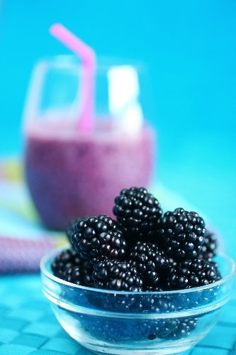 Kaz Dağları’nın yabani meyveleri şişeye girdi