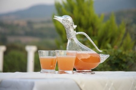 Kaz Dağları’nın yabani meyveleri şişeye girdi