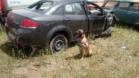 Kaza yapan arabadan esrar çıktı