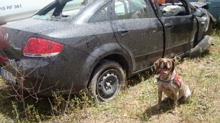 Kaza yapan arabadan esrar çıktı