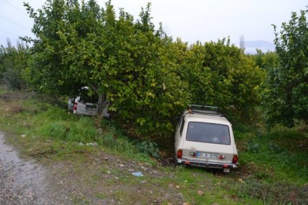 Kaza yapan iki otomobil narenciye bahçesinde durabildi