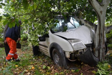 Kaza yapan iki otomobil narenciye bahçesinde durabildi