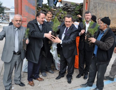 Kazan’da 12 bin 500 fidan toprakla buluştu