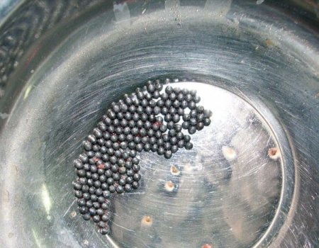 Kazayla Kendini Vuran Çocuğun Böbreğinden 170 Saçma Çıkarıldı