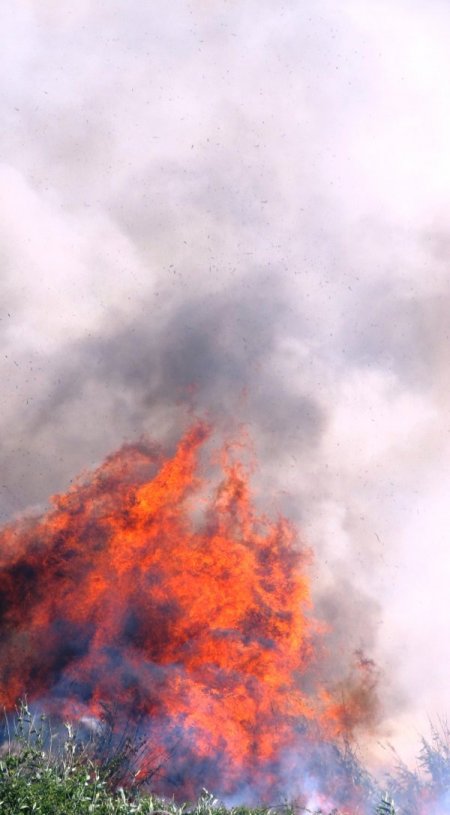 Kazdağılarına yakın köyler yangın dolayısıyla boşaltıldı