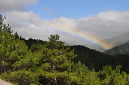 Kazdağları'nda orman varlığı son 40 yılda yüzde 31 arttı