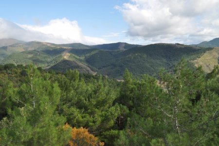 Kazdağları'nda orman varlığı son 40 yılda yüzde 31 arttı