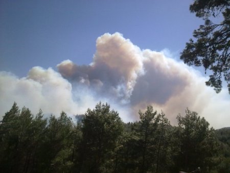 Kazdağları'ndaki orman yangını devam ediyor
