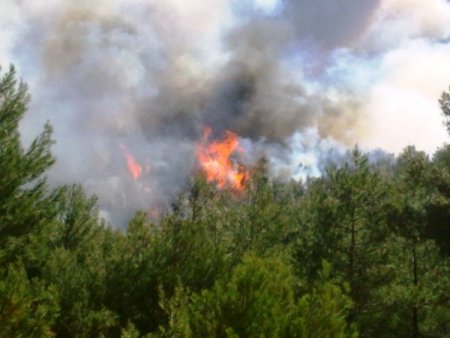 Kazdağları'ndaki orman yangını devam ediyor