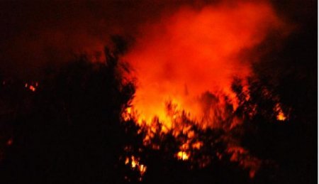 Kazdağları'ndaki yangın: 200 hektarlık alan etkilendi
