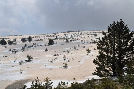 Kazdağları'nın zirvesinde kış, eteklerinde bahar yaşanıyor