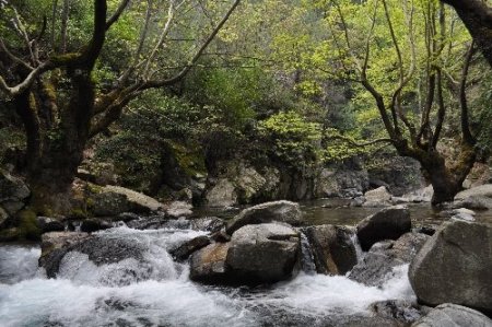 Kazdağları'nın zirvesinde kış, eteklerinde bahar yaşanıyor