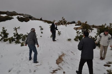 Kazdağları'nın zirvesinde kış, eteklerinde bahar yaşanıyor