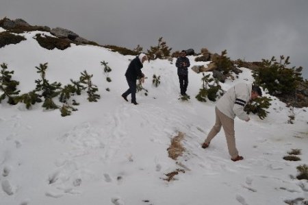 Kazdağları'nın zirvesinde kış, eteklerinde bahar yaşanıyor