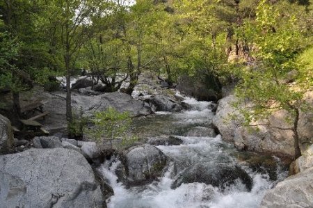 Kazdağları'nın zirvesinde kış, eteklerinde bahar yaşanıyor