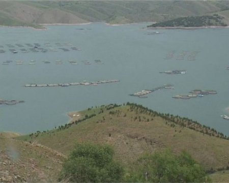 Keban Alabalık Tesisleri büyümeye devam ediyor