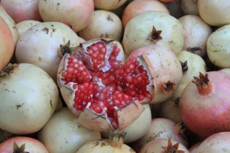 Keben narı hasadı başladı