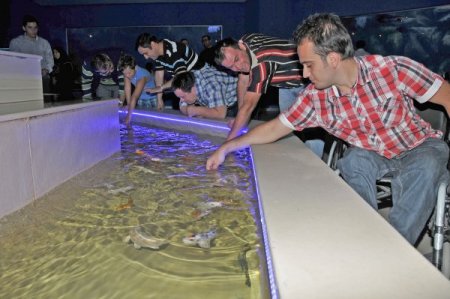 Keçiören'de engelliler, balıklarla rehabilite oluyor