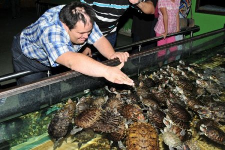 Keçiören'de engelliler, balıklarla rehabilite oluyor