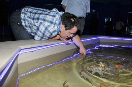 Keçiören'de engelliler, balıklarla rehabilite oluyor