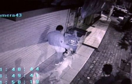 Kedi Katili, Para Cezasıyla Serbest Bırakıldı