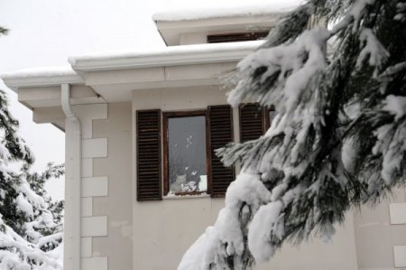 Kediler, sıcak villalarında kar manzarasını tadını çıkartıyor