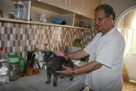 'Kedisine 20 yıllık vefalı dostum' diyen emekli işçi, evini ona tahsis etti
