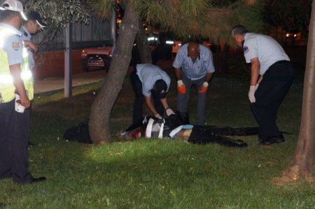 Kediyi ezmemek için canından oldu