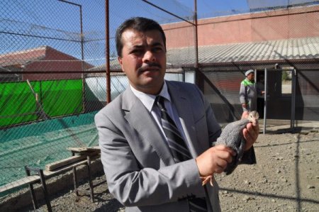 Keklik Üretim İstasyonu, yeni kümeslerle daha fazla üretim yapacak