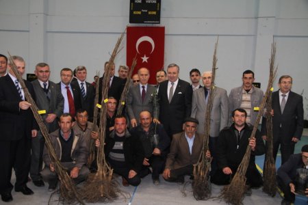 Kelesli çiftçilere 40 bin ceviz ve badem fidanı