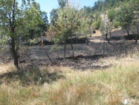 Keles'te Çayırlık Alan Yandı