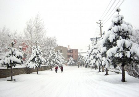 Kelkit'te kar kalınlığı 30 santimetreye ulaştı, okullar 1 gün tatil edildi