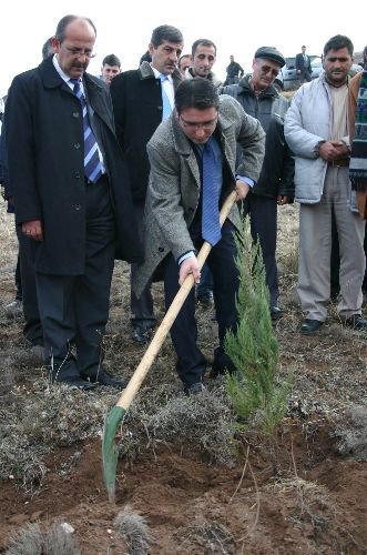 Kemah'ta Ağaçlandırma Çalışmaları Başladı