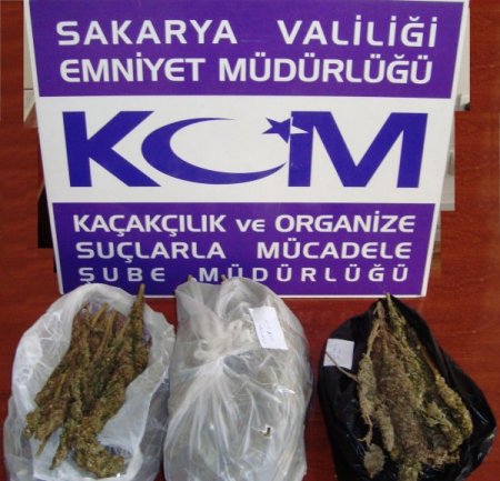 Kenevir Tarlalarına Helikopterli Operasyon