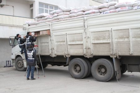Kepek çuvallarının altından 250 bin paket kaçak sigara çıktı