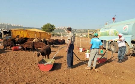 Kepez Varsak'a belediyeden kurban satış pazarı