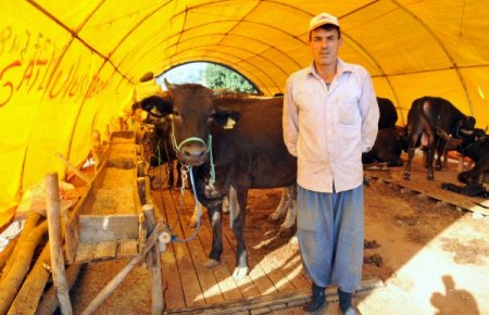 Kepez Varsak'a belediyeden kurban satış pazarı