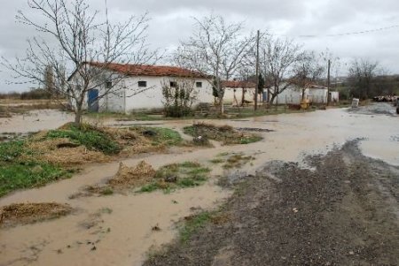 Keşan'da Sel Baskını: 14 Hayvan Telef Oldu
