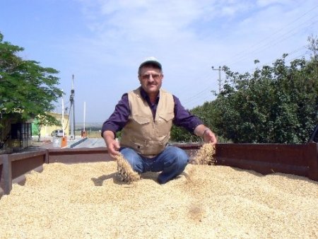 Keşan’da yılın ilk hububat ürünü Ticaret Borsası’na getirildi