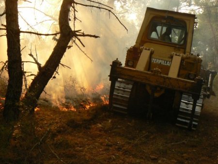 Keşan’daki orman yangını kontrol altına alındı